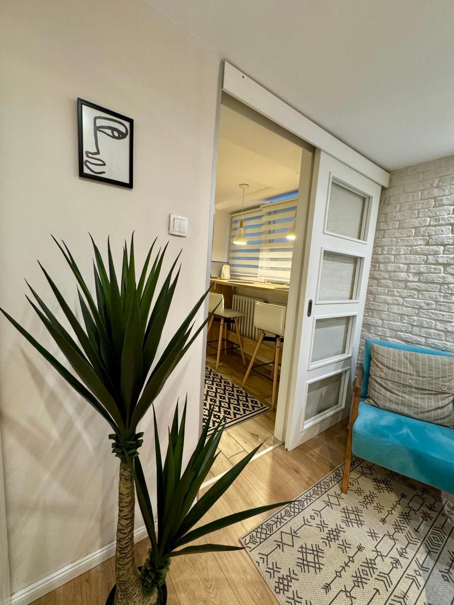 Appartement Cozy Haven à Belgrade Extérieur photo